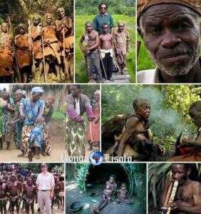 Les Peuples Pygmées