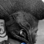 Sans le monde naturel