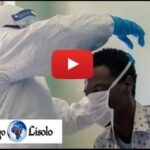 Covid-19 et trafic d’organes en France